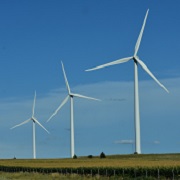 Windmolens in polderlandschap