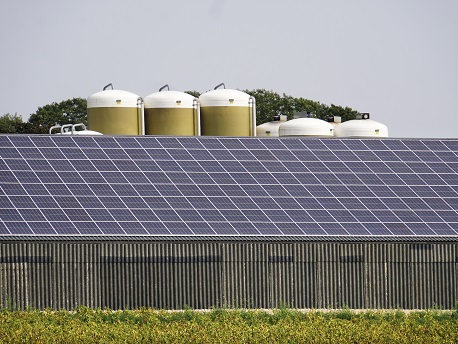 Groeipijn Op Het Elektriciteitsnet Van Goeree-Overflakkee | Stedin